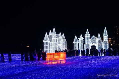 해운대 빛축제, 빛과 어둠의 경계에서 춤을 추다